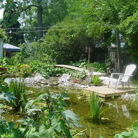 Bondy House Bed & Breakfast-2